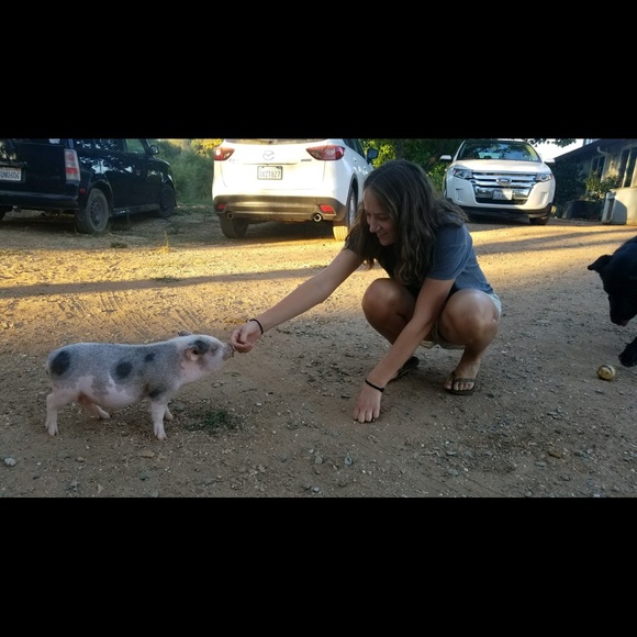 Meet your Posher, Sofia - Picture 1 of 1